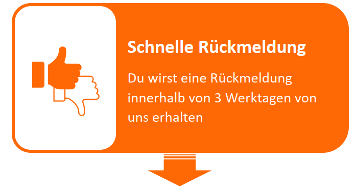 //www.allinsight.de/wp-content/uploads/2024/02/Konzept_Bewerbungsprozess_S2.png